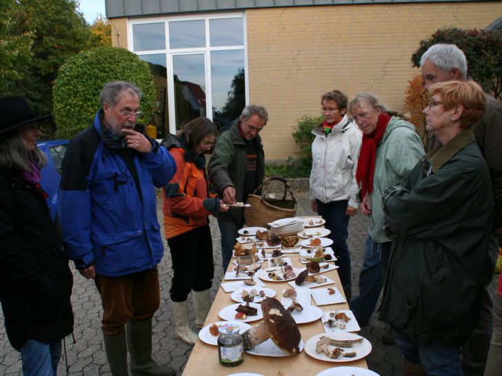 Pilzexperte Harry Anderson (2. v. L.) stellt die gefundenen Pilze vor. Foto: Diethelm Krause-Hotopp