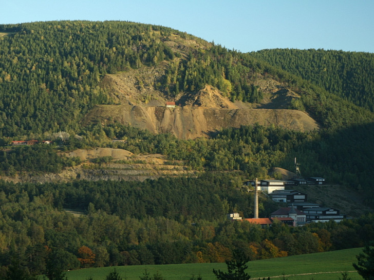 Fichtenmonokulturen am Rammelsberg und seiner Umgebung auf Waldstandorten, auf denen von Natur aus Buchen wachsen würden. Foto: Siegfried Wielert