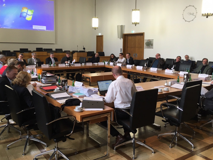 Im Planungs- und Umweltausschuss wurde am Mittwoch über Kammmolch und Knoblauchkröte heiß diskutiert. Foto: Alexander Dontscheff