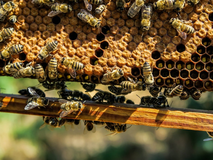Symbolbild: pixabay