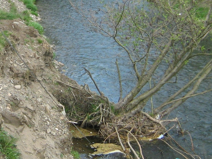 Der Gewässerunterhaltungsverband hat in den letzten Tagen im Naturschutzgebiet „Mittleres Innerstetal mit Kanstein“ bei Bredelem eine Uferbefestigung des Flusslaufs der Innerste durchgeführt. Symbolfoto: Landkreis Goslar 