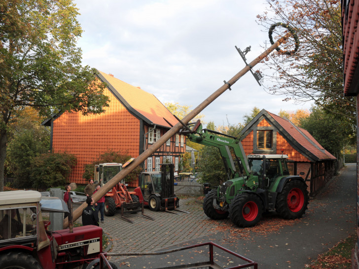 Andreas Faber lässt den Baum herunter. Foto: Jürgen Lingelbach