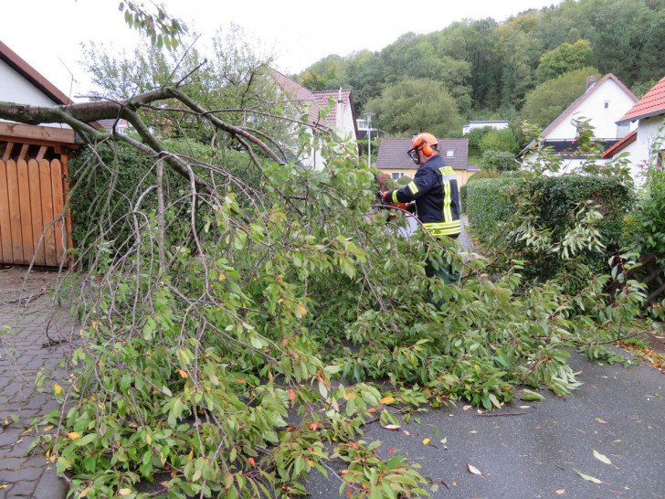 Besonders mit umgestürzten Bäumen hatten die Wehren in der Region zu tun während und nach dem Sturm. Fotos: Feuerwehr Goslar