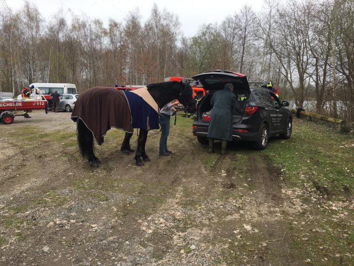 Nach der Rettung wurden Pferd und Reiter ärztlich untersucht. Foto: Aktuell24