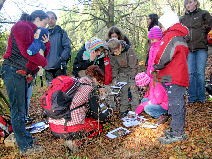 Pilzwanderung nach Schlumpfhausen - giftige und ungiftige Pilze sortieren. Foto: Franziska Nixdorf