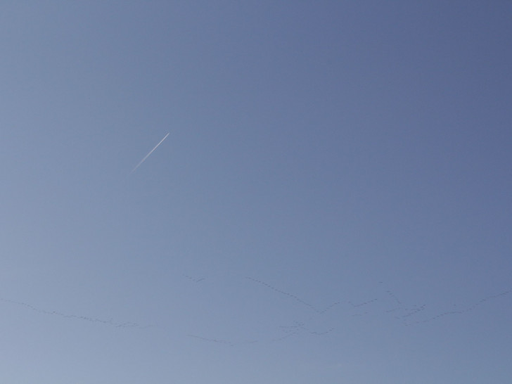 Die Segelflieger wollen wieder hoch hinaus. Symbolbild Foto: Robert Braumann