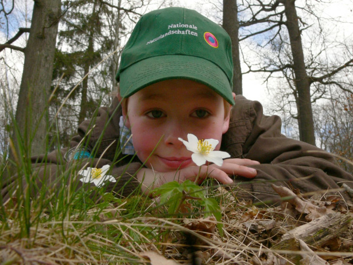 Umweltbildung im Nationalpark Harz – die Hauptaufgabe der Commerzbank-Umweltpraktikanten, Foto: Ranger Freddy Müller, Nationalpark Harz