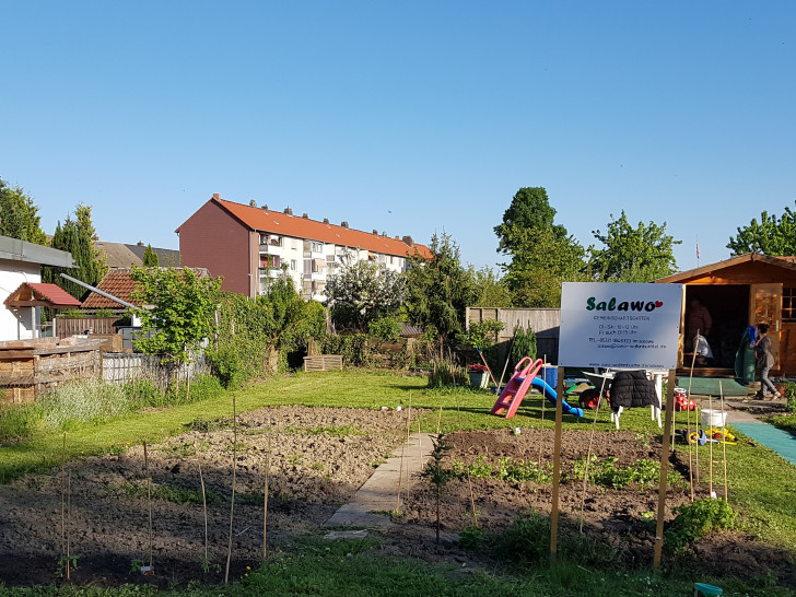 Der Salawo-Garten ist im Kleingärtnerverein Katzenmeer über den Eingang „Am Bache“ zu erreichen und hat die Garten-Nummer 104. Foto: AWO - Kreisverband Salzgitter-Wolfenbüttel e.V.