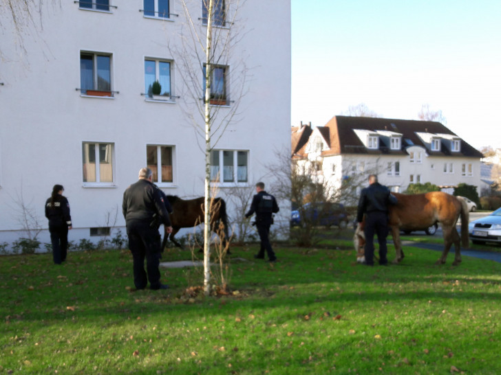 Foto: Polizei Braunschweig