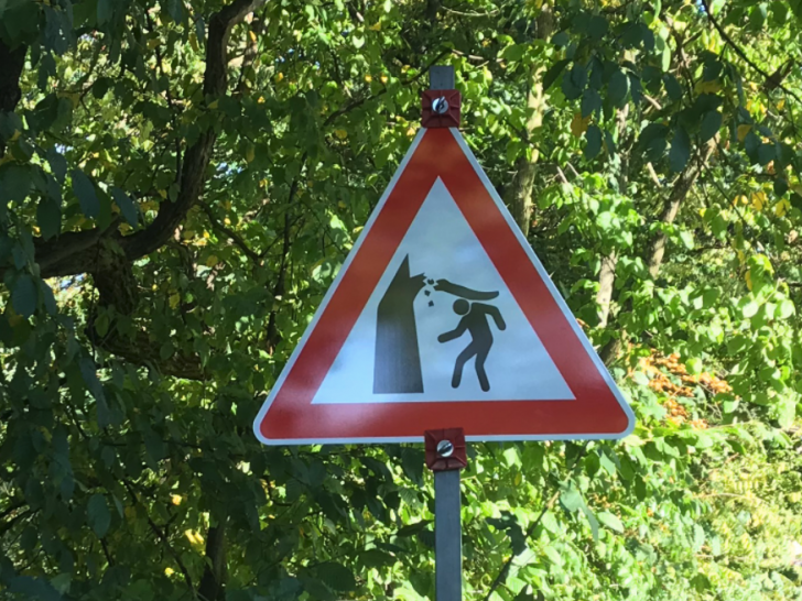 Nachdem im Prinzenpark ein Hund von einem Ast erschlagen wurde, sollen die Bäume nun kontrolliert werden.