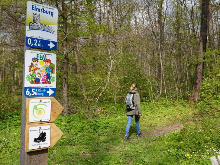 Der Ausbau und die Vermarktung von Wanderwegen ist eines der Projekte der Lokalen Aktionsgruppe (LAG) „Grünes Band im Landkreis Helmstedt“. Symbolfoto: Amtshof Eicklingen
Planungsgesellschaft 