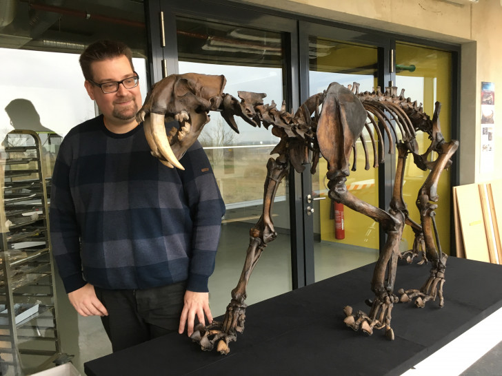 Dr. Felix Hillgruber hat das Skelett des Smilodon aus Tübingen abgeholt. Foto: Eva Sorembik