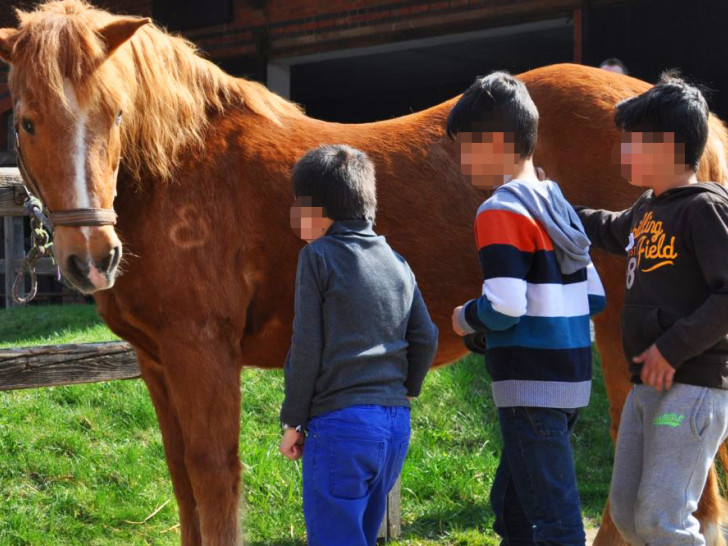 Der Umgang mit den Pferden fördert eine gesunde Entwicklung. Foto: Der Paritätische Braunschweig