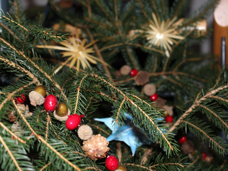 Die Stadt Schöningen hat schon vor Weihnachten einen Baum auf der Wunschliste. Symbolbild: Magdalena Sydow