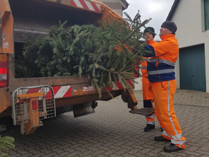 Der ALW holt die Weihnachtsbäume ab. Die Müllwerker Kevin Koch und Thorsten Niggemann laden die Bäume in einen Müllwagen. Foto: ALW