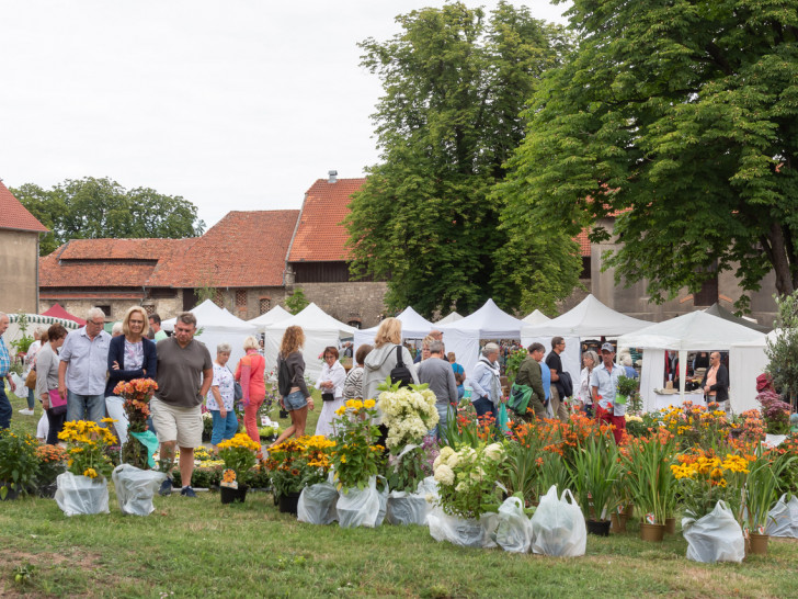 Ein Riesensortiment an Sommerpflanzen erwartete die Besucher des Kunsthandwerkermarktes. Fotos: Tanja Bischoff