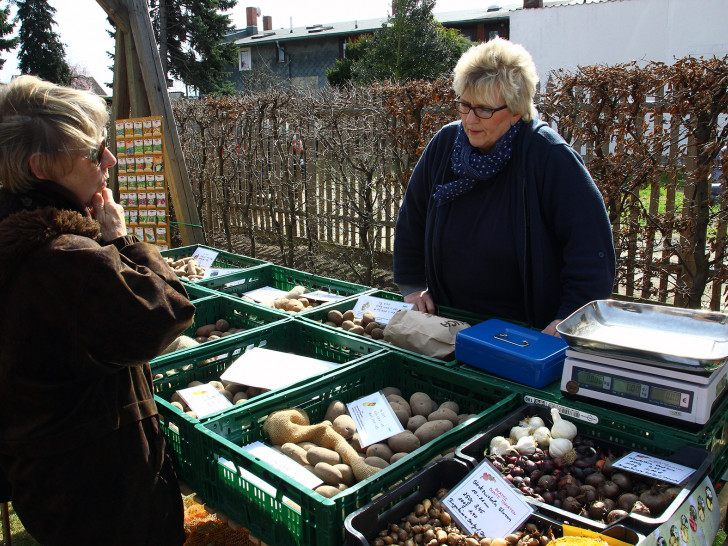 Am 9. April ist wieder Kartoffeltag im Gärtnermuseum Foto: Raedlein
