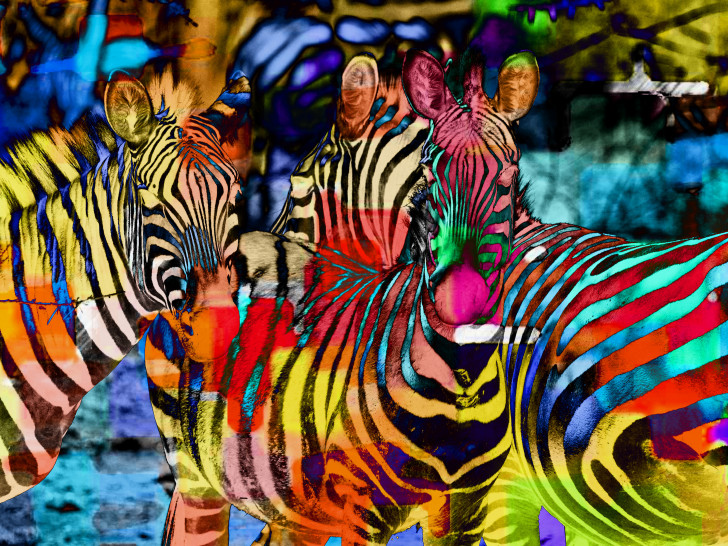 Finissage im Heimatmuseum Hornburg. Hier das Ausstellungsstück Zebra Foto: Privat