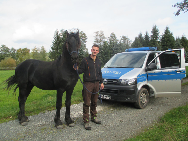 Glücklicherweise konnte das Pferd von dem zufällig vorbeikommenden Langelsheimer Timo Ziemann eingefangen werden. Foto: Polizei Goslar