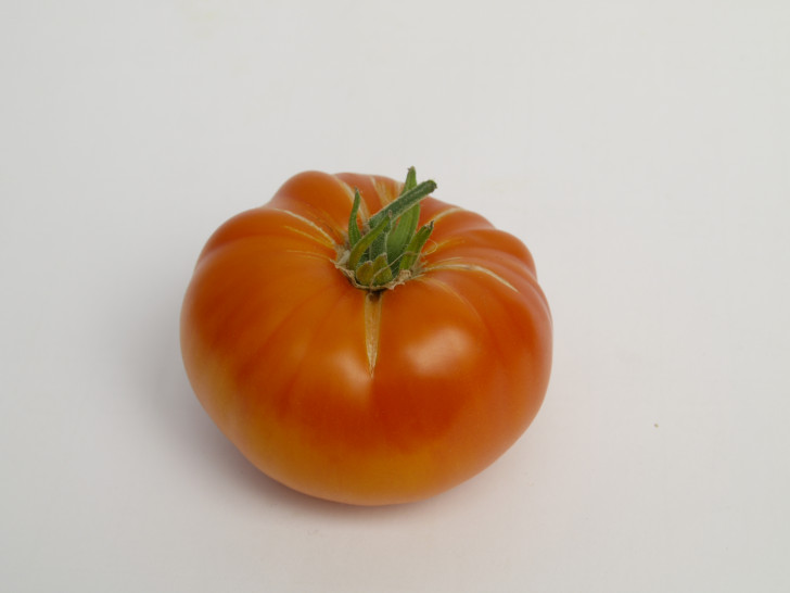 Die Ananastomate ist in diesem Jahr "Tomate des Jahres". Foto: Ingrid Ohlendorf (BUND Salzgitter)
