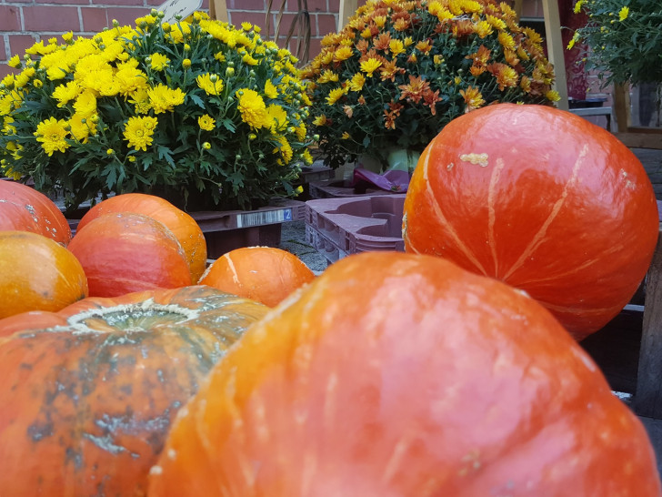 Kürbisse auf dem Herbstmarkt