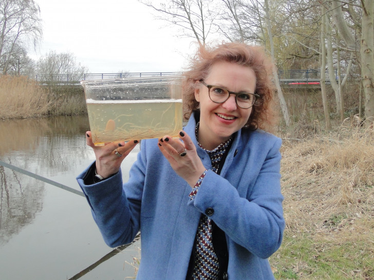 Vom kleinen ins große Gewässer: Alexa von der Brelje, Sprecherin der Sparkasse Gifhorn-Wolfsburg, nahm die Glasaale an der Gifhorner Ise in Empfang. Fotos: Sparkasse Gifhorn-Wolfsburg