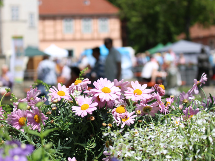 Blumen und Kräuter sorgten auf dem gesamten Schlossplatz für zahlreiche faszinierende Düfte. Fotos: Julian Bergmeier