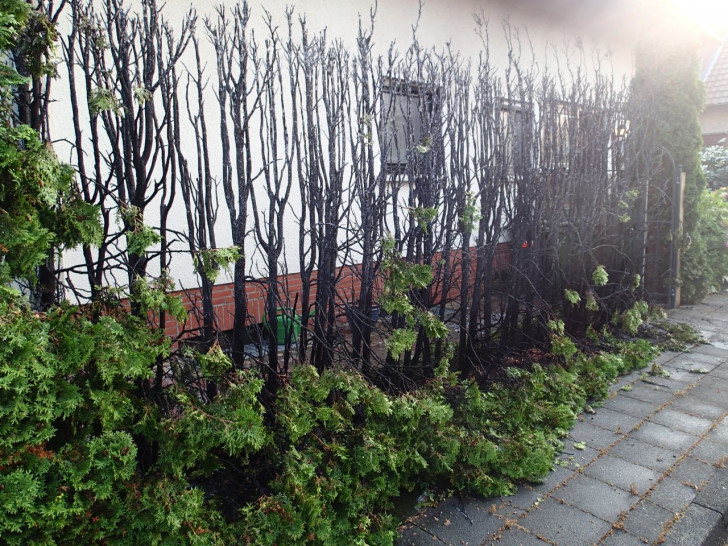 Der Brand an der Hecke drohte auf den Dachstuhl des benachbarten Hause überzugreifen. Foto: Alexander Weis
