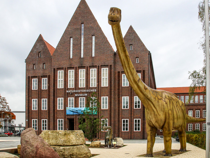 Naturhistorisches Museum Braunschweig. Foto: Thorsten Raedlein