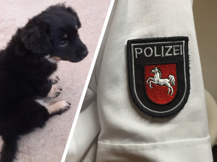 Die Polizei sucht weiterhin nach dem Besitzer des kleinen Hundebabys. Foto: Polizei Goslar/Anke Donner