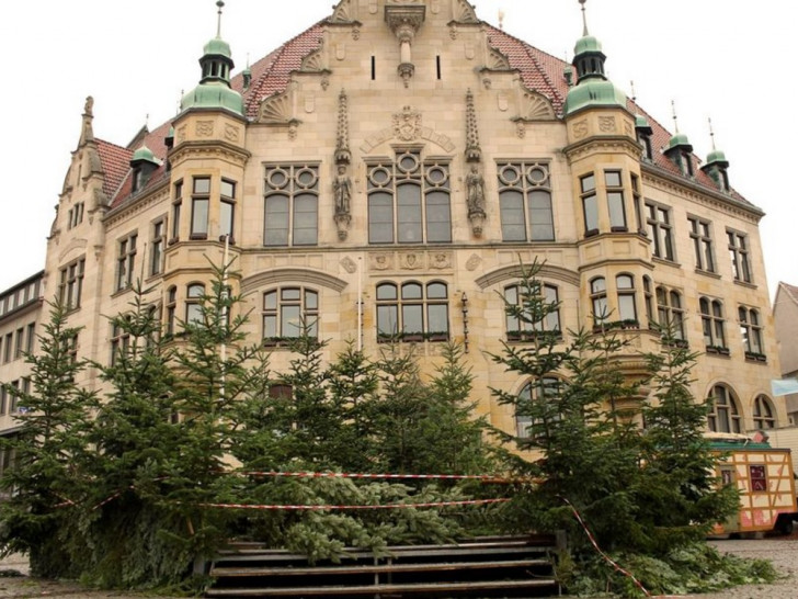 Der Weihnachtswald wird aufgebaut. Foto: Stadt Helmstedt