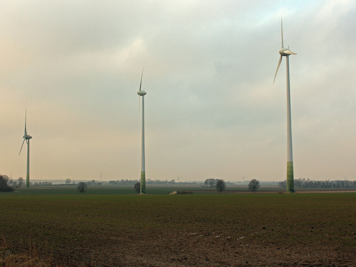 Die Grünen fordern, dass die Gemeinde Cremlingen auf umweltfreundlichen Strom - zum Beispiel durch Windräder produziert -
umsteigt. Foto: Archiv/Magdalena Sydow