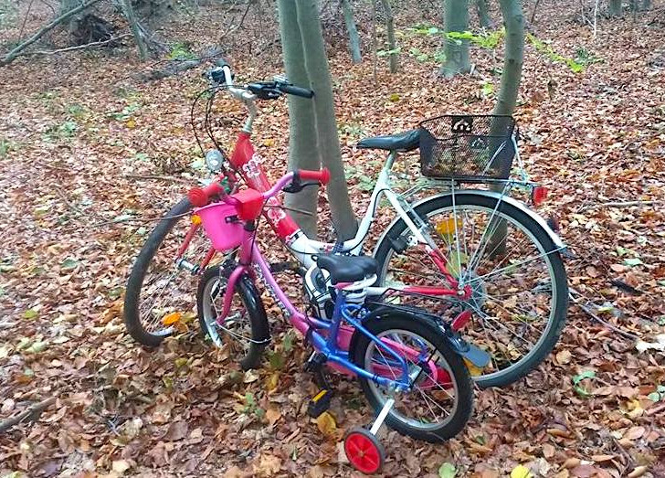 Die Fahrräder stehen seit einem Monat unverändert an der selben Stelle im Lechlumer Holz. Foto: Privat