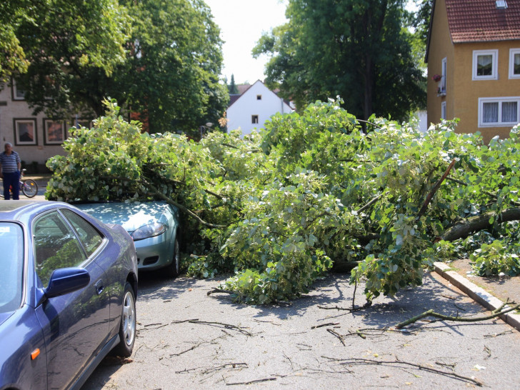 Zwei Autos wurden durch den Baum beschädigt. Fotos: Rudolf Karliczek