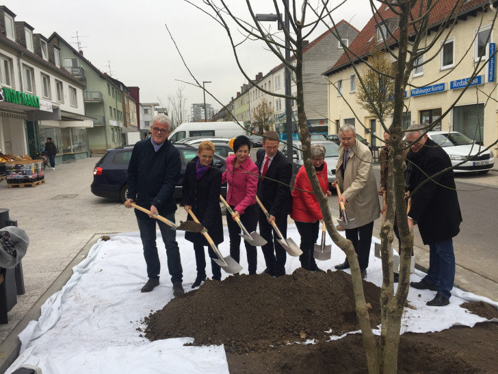 Oberbürgermeister und Stadtrat pflanzten einen Baum als Vollendung des Umbaus der Poststraße. Foto: Stadt Helmstedt