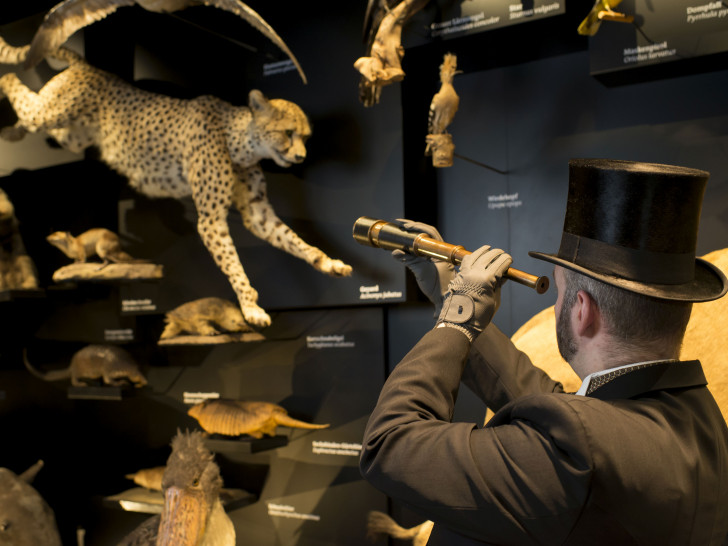 Foto: Staatliches Naturhistorisches Museum