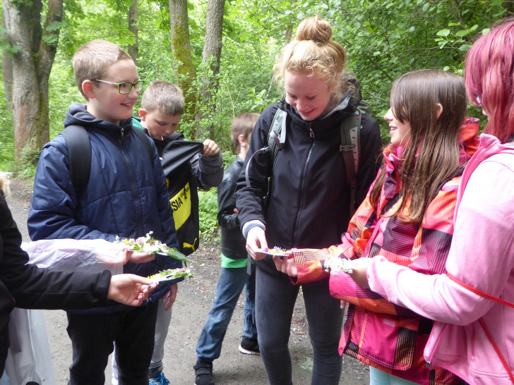 Henrike Wilmsen mit Schülern auf einer Kräuterwanderung am Natur-Erlebniszentrum HohneHof. Foto: Nationalpark Harz