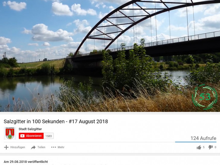 Es geht unter anderem um die Stabbogenbrücke. Screenshot: Stadt Salzgitter