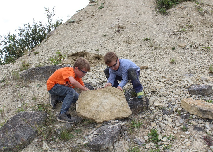 Am 8. April geht es in Evessen auf Fossiliensuche. Foto: Geopark