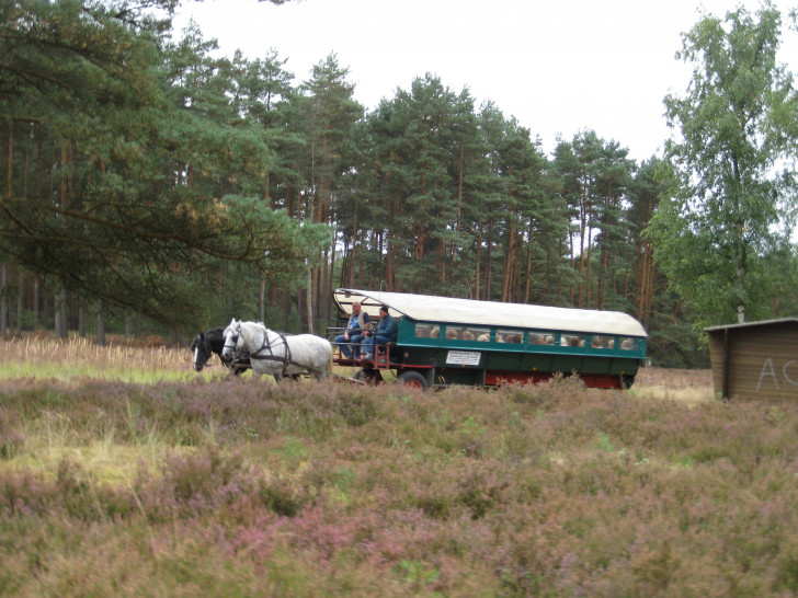 Mit dem Planwagen fuhren die Seniorenkreise durch die Heide, Foto: privat