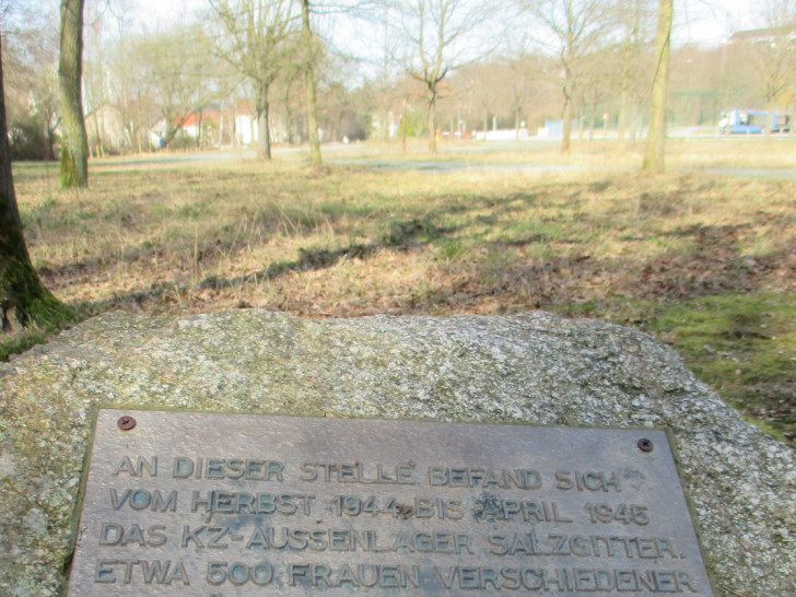 Der Gedenkstein für das KZ-Außenlager Salzgitter-Bad liegt eher unscheinbar auf einer Grünfläche. Foto: Michael Siano