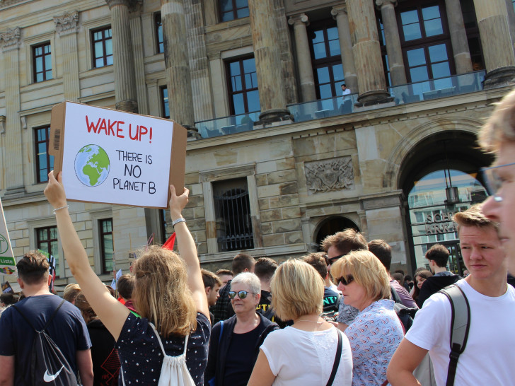 "Fridays for Future" demonstrieren in Braunschweig. Foto: Julia Seidel