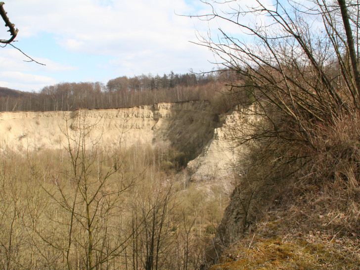 Der Destedter Steinbruch im Frühjahr. Foto: Diethelm Krause-Hotop