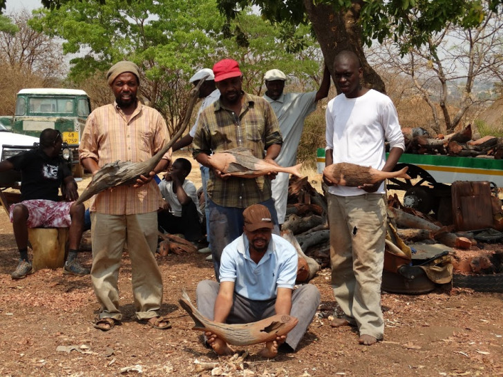 Vögel und Fische aus Schwemmholz: Eine Künstlergruppe aus Zimbabwe produziert sie, bald werden sie auch im Wolfenbütteler Weltladen verkauft. Foto: Privat