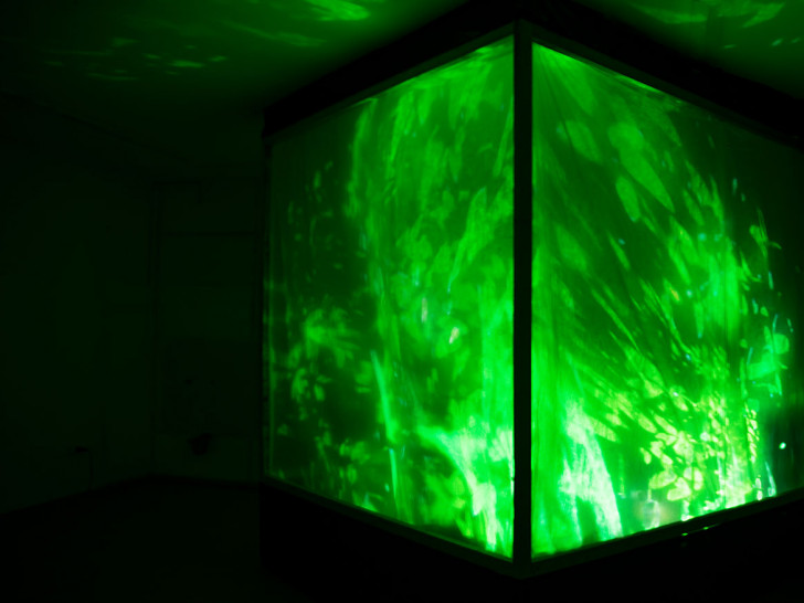 Installation „Organic Cube“ von Kalle Juhani Spielvogel. Foto: Nationalpark Harz