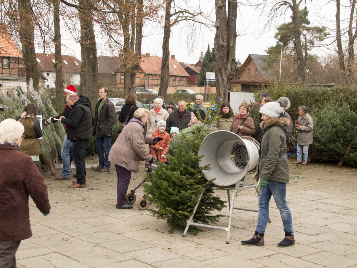 Der Förderverein Dettumer Freibad e.V. lädt zum Weihnachtsbaumverkauf ins Freibad ein. Foto: Förderverein Dettumer Freibad e.V.