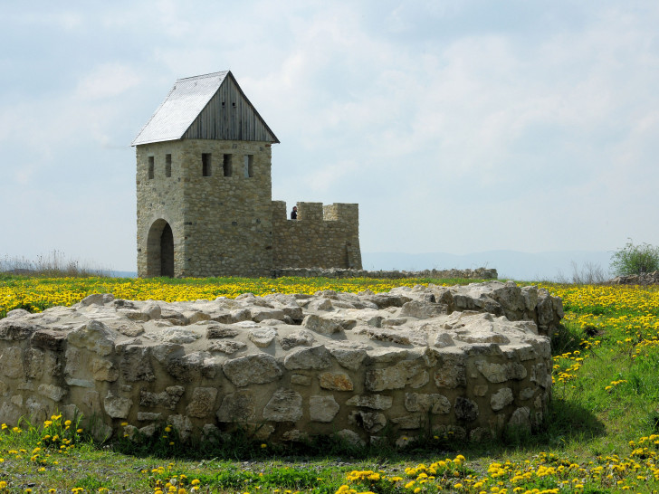 Archäologie und Geschichte sowie die Naturentwicklung sind die Themen. Foto: Stadtmarketing Hornburg