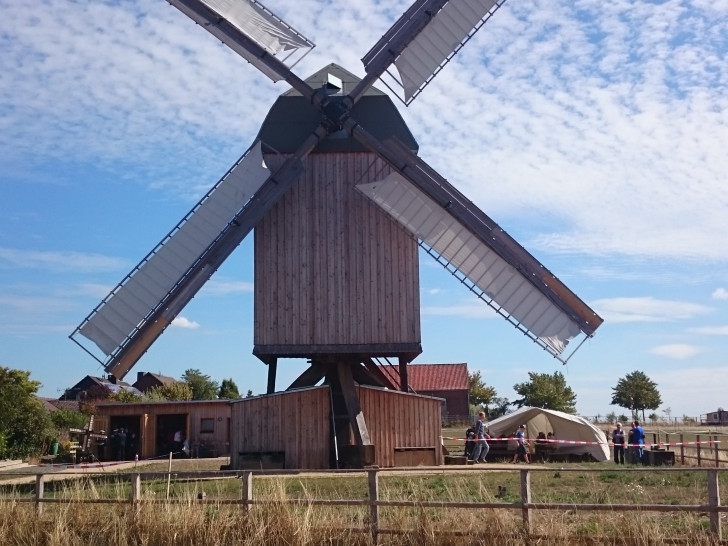 Die Dettumer Bockmühle steht im Mittelpunkt des Festes

Foto: Verein zur Erhaltung der Dettumer Windmühle e.V.