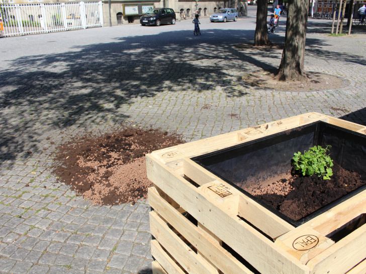 Eines der Beete des „Urban Gardening“-Projekts wurde gänzlich entleert. Fotos: Jan Borner