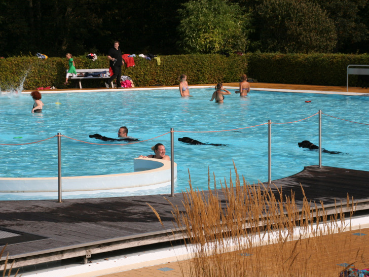 Am 16. September dürfen Hunde im Freibad Elm schwimmen. Foto: Foto Diethelm Krause-Hotopp